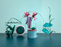 Botanique : A set of concepts mixing plants, geometry, color and light.