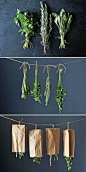 How To Harvest and Preserve Your Garden Herbs • Great tips and tutorials!