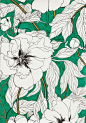 GreenPeonies Marcella Wylie: 