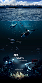 Sea of Glass Campaign : Visuals for a campaign for CPAWS British Columbia Chapter for their Glass Sponge Awareness campaign.