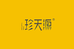 RENKANG3采集到中文全称字体标志（字体图形创意）