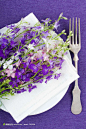 盘子上紫色花朵