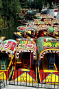 Floating Lakes - Xochimilco, Mexico