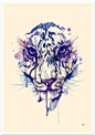 TIGER POSTER by DSORDER , via Behance