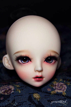 爱可儿阿玛菲采集到BJD