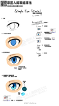 【SAI】【眼睛上色简易教程】（via： catnappe143）