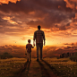 a dad and his son holding hands, back turned, looking at the sunset