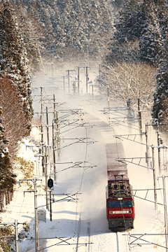 红笺采集到冰雪