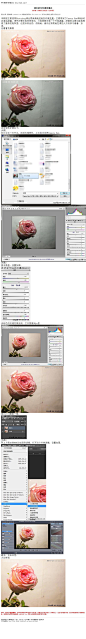 #风景调色#《调出柔光色调玫瑰花》 本教程主要使用Photoshop调出柔美清新的粉色玫瑰效果，主要用到了Camera Raw和HDR动态渲染滤镜。调色步骤还是很简单的，只是需要安装一个外挂滤镜。滤 教程网址：http://bbs.16xx8.com/thread-166845-1-1.html