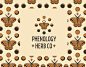 Phenology Herb Co Brand Identity
