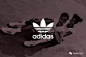 阿迪达斯品牌广告大片

【品牌全案】阿迪达斯Adidas，换新logo啦！！！