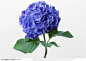 花卉造型-漂亮的蓝色花球、绣球花