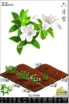 Vulpes12138采集到植物