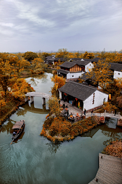 摇摆Prince采集到背景