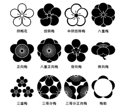 BeeWing采集到花纹