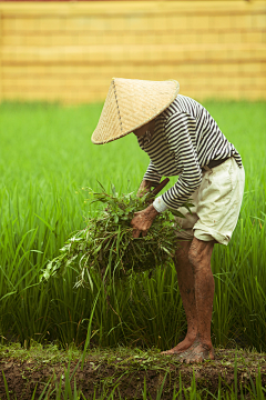 谈谈插画师采集到人像摄影杭州十样锦广告设计