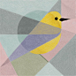 鸟类几何图形构成的插画设计
