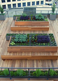 园林景观设计——WL采集到构成——菜地、花池
