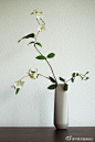 flower arrangements--日本插花师Ikebana