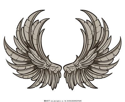 翅膀 纹身稿内容图片分享