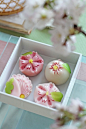 Japanese sweets -Wagashi - 八重桜