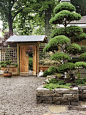 Zen Garden                                                                                                                                                                                 More: 