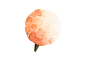 手绘 水彩 粉嫩 海洋 鲸鱼 热气球 花卉 花环 H785 (34)