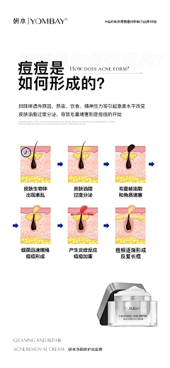 圆圆的西瓜采集到小知识