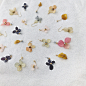 fufuフフ-botanical art, jewelry 在 Instagram 上发布：“【6月･月末限定online shop③〜】 個性溢れる花たちから、お気に入りの1点を。 紫陽花の季節の終わりに合わせて、 手元にある紫陽花アクセサリーを まとめて販売させていただきます。 ・ 光に透かすと浮かび上がる繊細な花脈は、 本物の紫陽花ならでは。…” : 455 次赞、 3 条评论 - fufuフフ-botanical art, jewelry (@fufu_pressedplants) 在 Insta