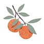 Oranges! By lucy-banaji on Tumblr - #lucybanaji #Oranges #Tumblr