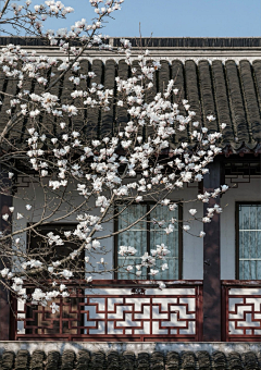 萌霸天采集到景