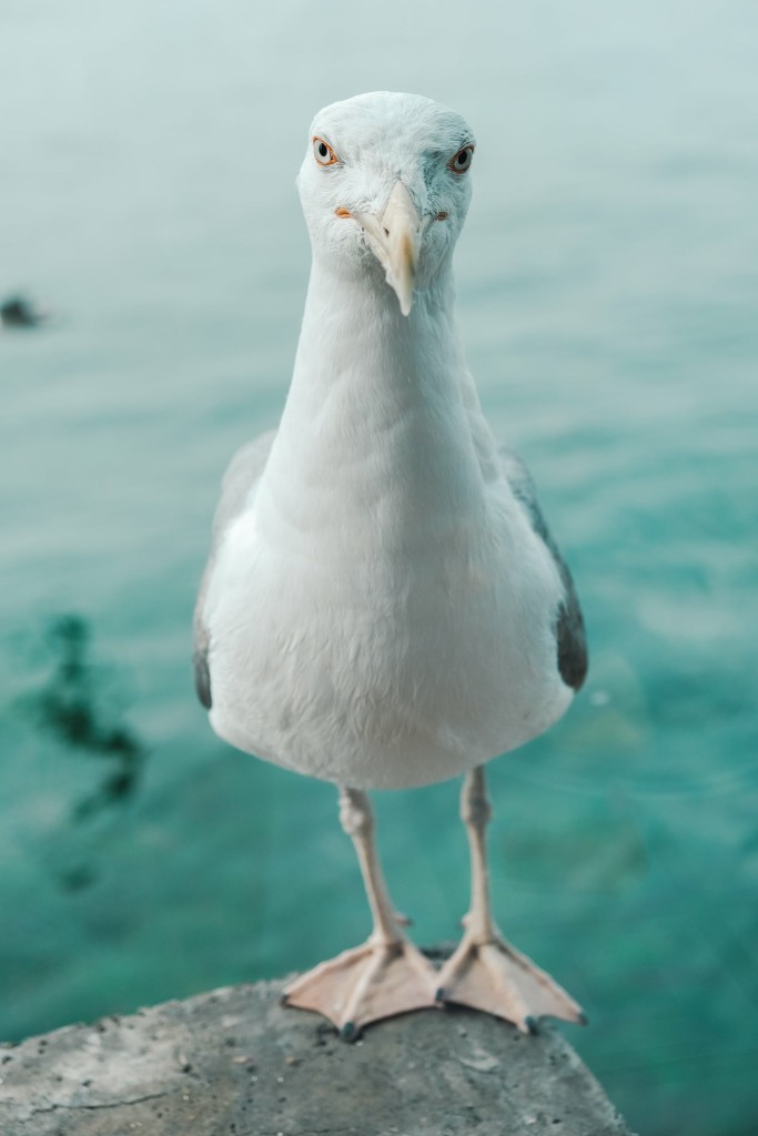 f6b8d496e1980ffcce325866bf75653ab250c3ca11976-cpoPVQ
