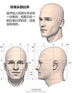 倒萨大多数采集到绘画教程