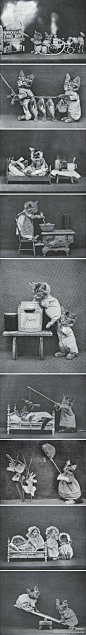 爱单反【”人模人样“的猫咪写真】美国摄影师Harry Whittier Frees上个世纪拍下了大量这类仿人动物照片(很多都是猫)。摄影师给它们穿上仿人的衣服，做人的动作，然后拍摄下来，这在当时的器材条件下难度可想而知，估计是现在流行的”动物拟人照“的鼻祖了。