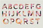 海报包装时尚字母笔刷渐变效果英文数字字体设计PSD格式 (1)