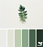 Nature Tones | Design Seeds Hunter Green | Pastel Green | Sage Green | Pine Green | Neutrals