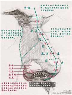 beizaibeifang采集到教程