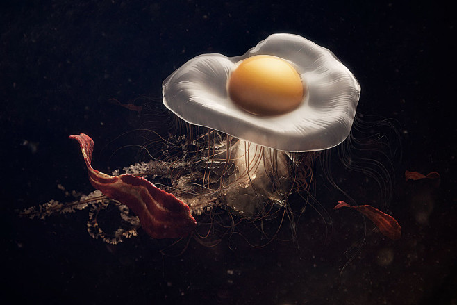 Eggfish & Bacon : a ...