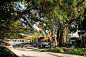 泰国清迈137 Pillars House酒店景观