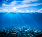 蓝天下清澈的海底世界图片素材