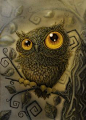 'Too Much Owls ? Nooooo!' by Nastik OrangeCat