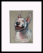 Pittsburgh Artist Julie Pfirsch - Pet Portraits and Oil Paintings : Pittsburgh Pennsylvania based artist - commission pet portraits. Custom sketches in pencils, pen and colored pencil.  Art style both expressive and realistic.