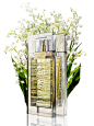 Fragrance, LaPrairie