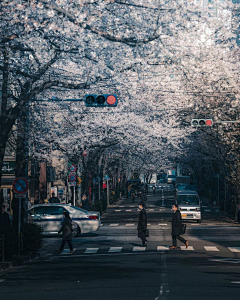 Hua_少采集到风土