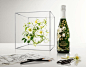 綻放花香的巴黎之花(Perrier Jouet)已是目前世界上最貴的香檳酒，它採用Des Blancs葡萄園生產的葡萄釀製，如果當年的葡萄品質不好，葡萄酒的生產就會推遲到下一年。貴族身份的Perrier Jouet推出了限量版美麗時光（Belle Epoque Florale Edition）系列，而為它量身定制標誌圖形的則是來自日本知名植物藝術家東信，受到日本藝術文化的鼓舞，以及已成為巴黎之花(Perrier-Jouet)藝術傳統的標誌性圖案的啟迪，東信挑戰美學界域，打造了獨特的綜合藝術品——由日本銀蓮