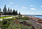 【澳大利亚埃斯佩兰斯滨海公园景观设计丨hassellstudio】O网页链接

两侧的海岸线都是沙滩，公园这一段为什么要这么多大石头呢？是放浪用的吗 ​​​​