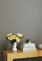 Clare | Interior Paint | Shade