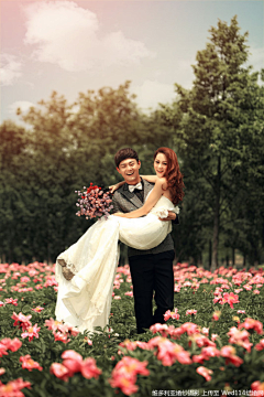 Qianqian44采集到婚纱婚纱