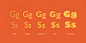 Gill Sans® - Webfont & Desktop font « MyFonts