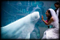 好奇的白鲸宝宝。这只白鲸名叫朱诺，在2011年的时候它为了观察水族馆奇妙的蓝星人，差点把自己压扁在了玻璃壁上。随后朱诺又参加了几场婚礼，她默默地站在新人的身后抢镜....
